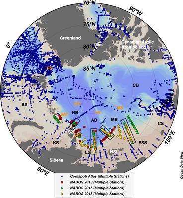 Exploring Five Methods for Estimating Net Community Production on the Siberian Continental Shelf and Slope of the Arctic Ocean